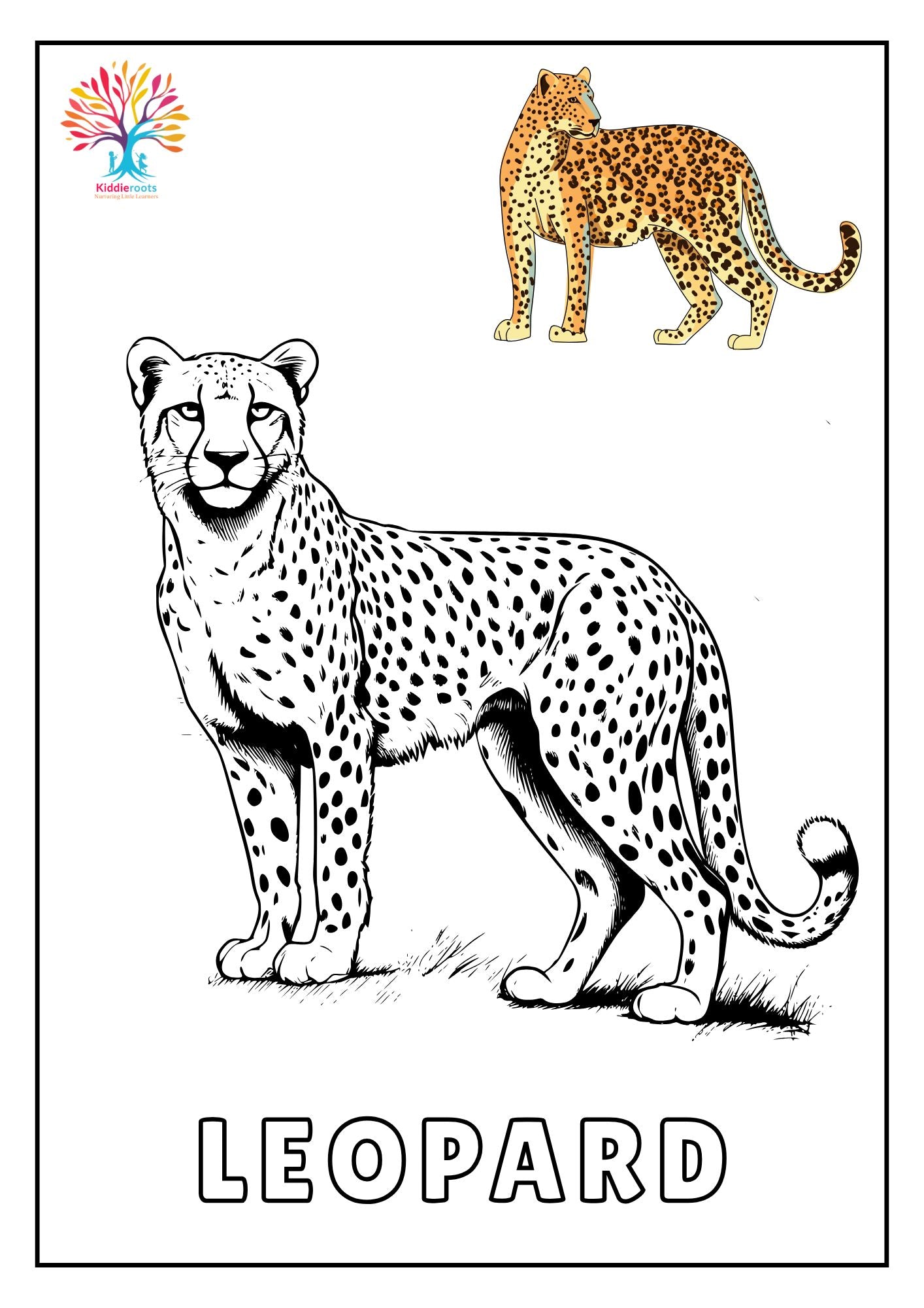 50 Wild Animal Colouring Book for Kids - Printable